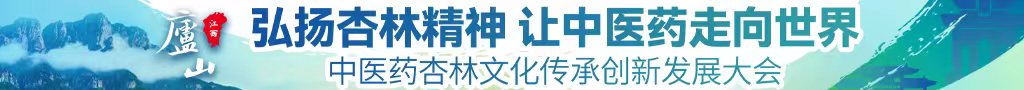 嗯嗯啊啊区域一中医药杏林文化传承创新发展大会